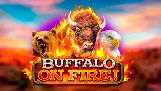 Buffalo on Fire