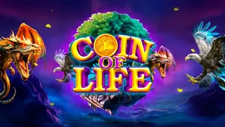 Coin Of Life
