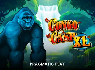 Congo Cash XL