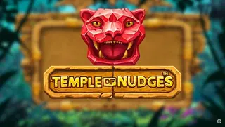 Temple of Nudges