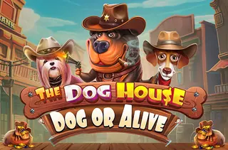 The Dog House  Dog or Alive