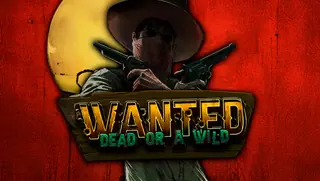Wanted Dead or a Wild