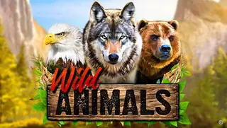 Wild Animals