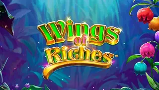 Wings of Riches